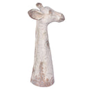 Giraffe Head Statue 61cm-Dovetailed & Doublestitched
