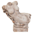 Female Bust Statue-Dovetailed &amp; Doublestitched