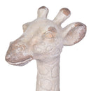 Giraffe Head Statue 61cm-Dovetailed &amp; Doublestitched