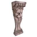 Lion Head Pillar Wall Art-Dovetailed &amp; Doublestitched