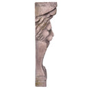 Lion Head Pillar Wall Art-Dovetailed &amp; Doublestitched