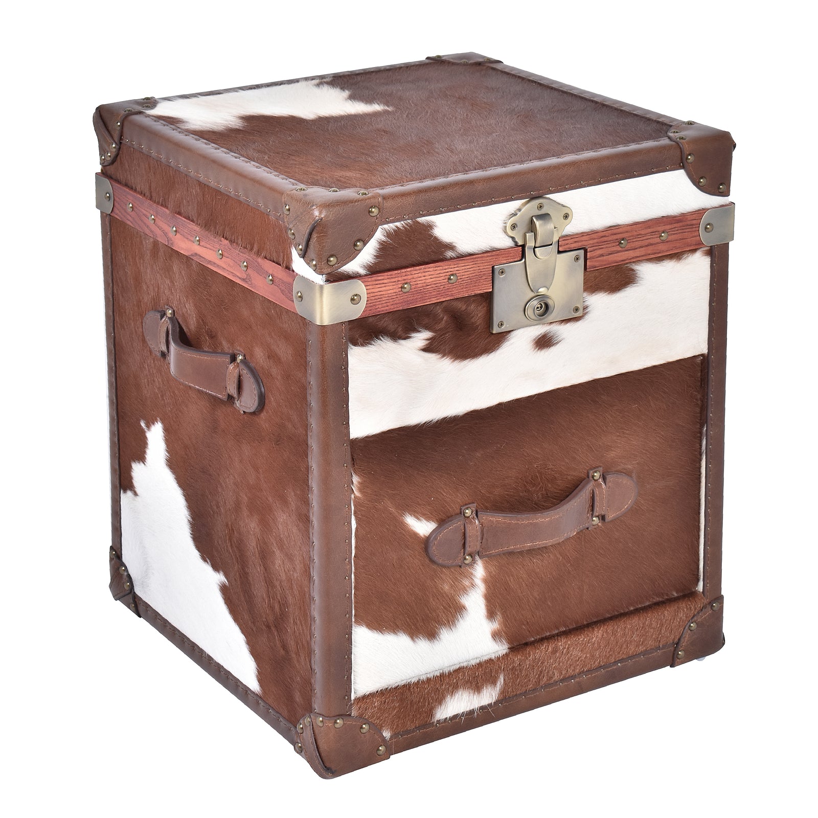 Nomad Dark Brown Cowhide Trunk Side Table
